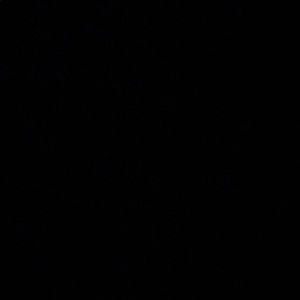 Meet your Posher, Cecilia